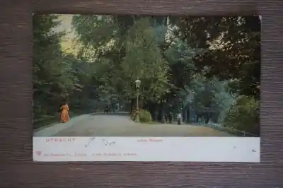 Tani Utrecht Lucas Bolwerk