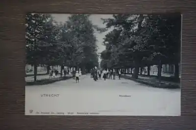 Utrecht Maliebaan Niska cena