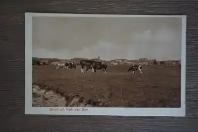 Wijk aan Zee Groet uit Zamów teraz