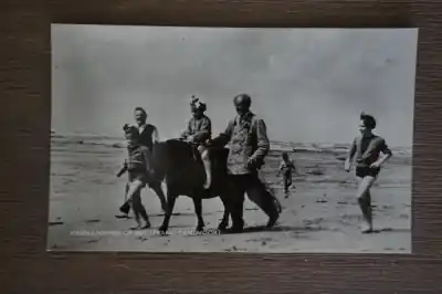 Wysoka jakość Zandvoort Kinderpony op het strand