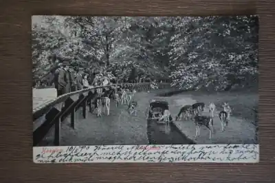 Szybka dostawa Haarlem Hertenkamp