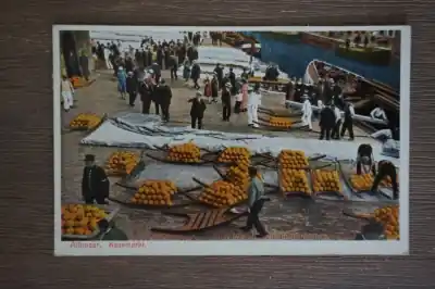 Popularny Alkmaar Kaasmarkt