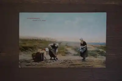 Wysoka jakość Scheveningen Nalezen in de duinen