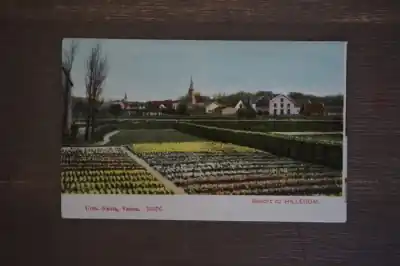 Nowość Hillegom Gezicht op