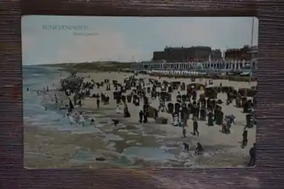 Tani Scheveningen Strandgezicht