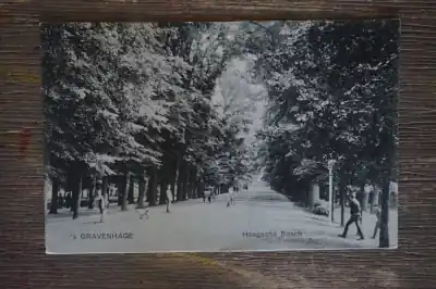 Den Haag Haagsche bosch Popularny