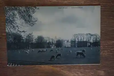 Promocja Den Haag Hertenkamp