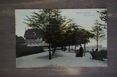 Darmowa dostawa Rotterdam Belvedere park