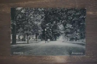 Promocja Soestdijk Driesprong