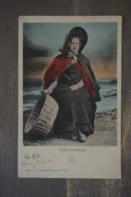 Nowość Scheveningen