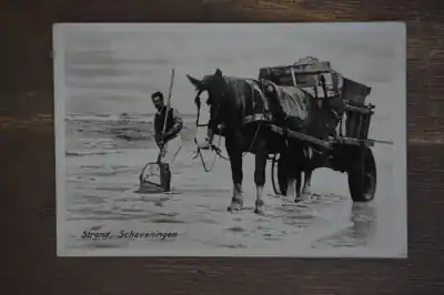 Scheveningen Strand Najlepsza cena