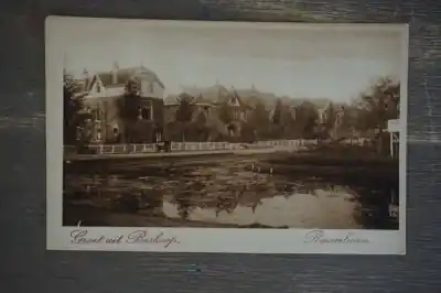 Boskoop Rozenlaan Niska cena