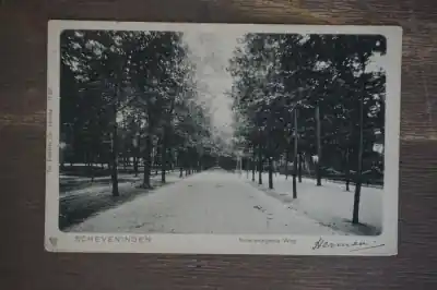 Oferta Scheveningen Scheveningsche Weg