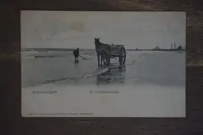 Scheveningen de Schelpenvisser Popularny