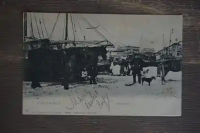 Scheveningen Strandgezicht Najlepsza cena