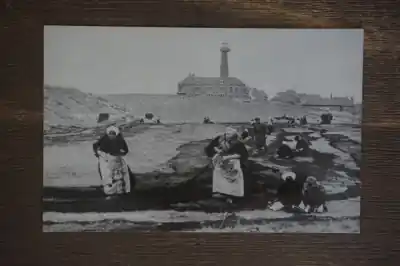 Szybka dostawa Scheveningen Netten boetsters