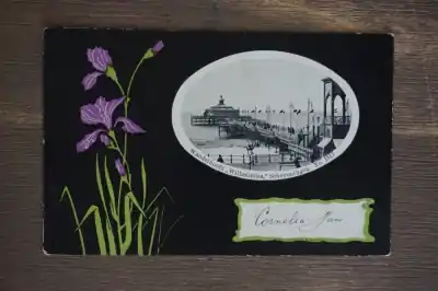 Scheveningen Wandelhoofd Wilhelmina Ekspresowa dostawa