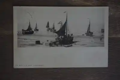 Scheveningen Oferta limitowana