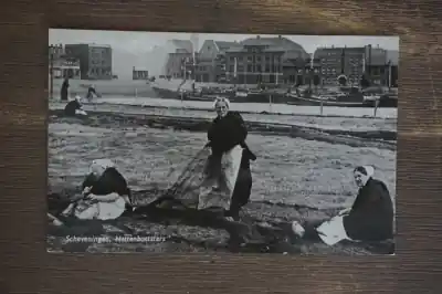 Scheveningen Netten boetster Kup teraz