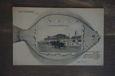 Promocja Scheveningen Boulevard en Oranje hotel