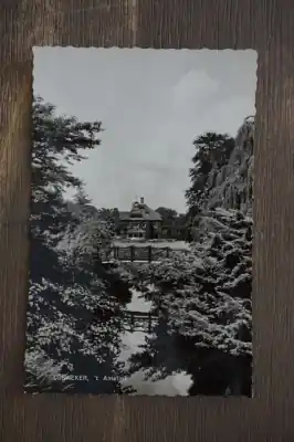 Lonneker 't Amelink Kup teraz