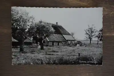 Najlepsza cena Markelo Groeten uit