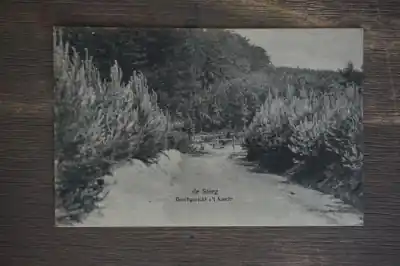 Wyprzedaż De Steeg Boschgezicht 't Asselt