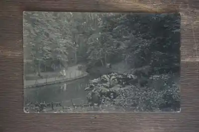 Winschoten Wandelbosch Oferta limitowana