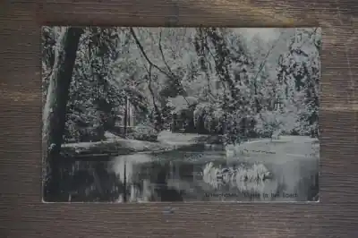 Ekspresowa dostawa Winschoten Vijver in het bosch