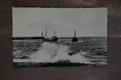 Scheveningen Haven Tani