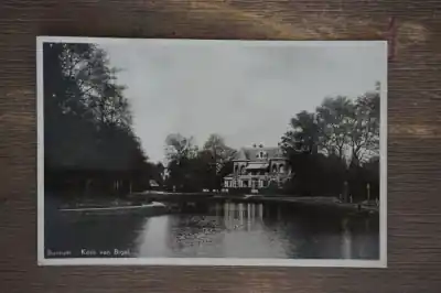 Najlepsza cena Bussum Kom van Bigel