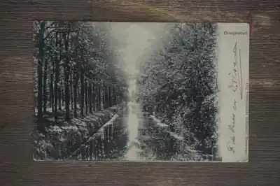 Oryginalny Oranjewoud