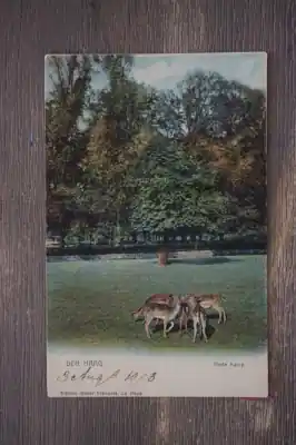 Darmowa dostawa Den Haag Hertenkamp