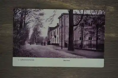 Niska cena Den Haag Boschhek