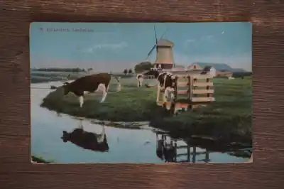 Hollandsch Landschap Popularny