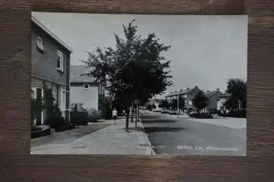 Promocja Berkel Wilhelminastraat