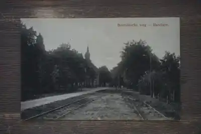 Wyprzedaż Barchem Borculosche weg