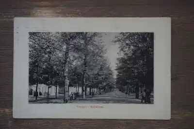 Utrecht Maliebaan Bezpieczna płatność