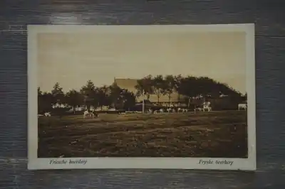 Najlepsza cena Friesland Friesche boederij