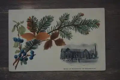 Najlepsza cena Nederland Wasch en badinrichting der weesinrichting