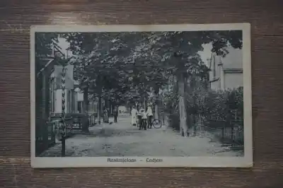 Najlepsza cena Lochem Kastanjelaan