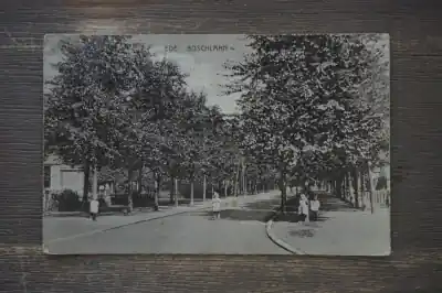 Oferta limitowana Ede Boschlaan