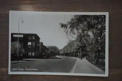 Autentyczny Den Haag Oostduinlaan