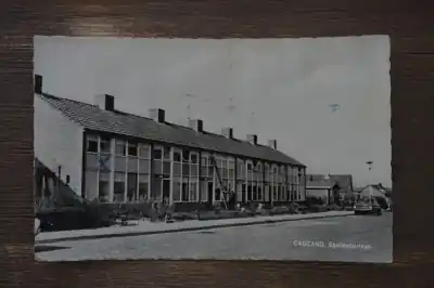 Tani Cadzand Egelantierlaan