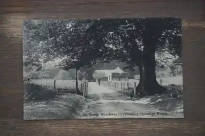 Niska cena De Steeg Boschwachterswoning Onzalige Bosch