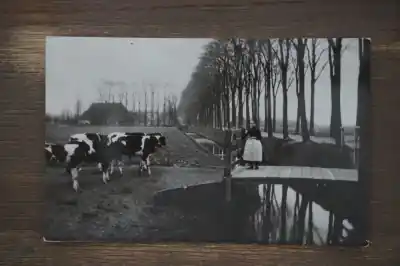 Oryginalny Dordrecht Dubbelsteynlaan omstreeks 1900