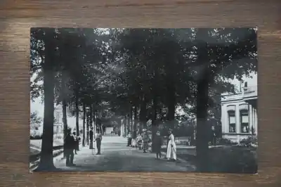 Dordrecht Van Hoogstraten singel Oferta limitowana