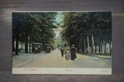 Apedoorn Loolaan Nowość