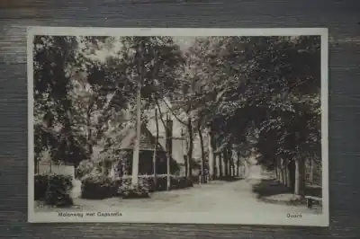 Doorn Molenweg met Capanella Ekspresowa dostawa