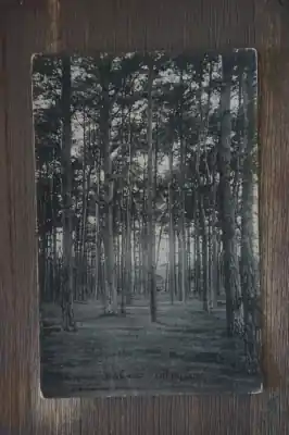 Oryginalny Amersfoort Birkhoven